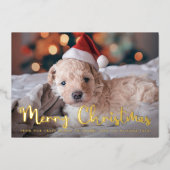 Carte De Vœux En Aluminium Joyeux Noël Pet Photo (Recto)