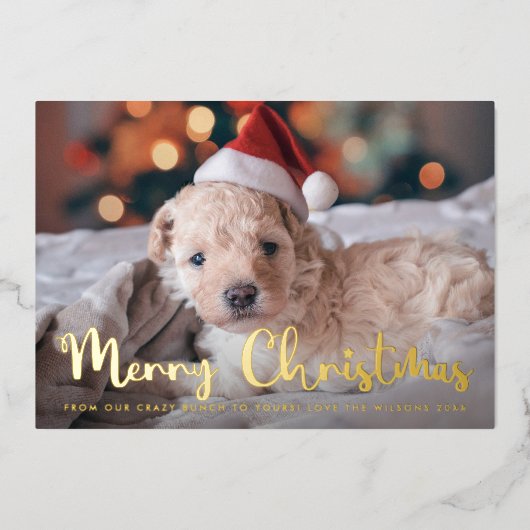 Carte De Vœux En Aluminium Joyeux Noël Pet Photo (Recto)