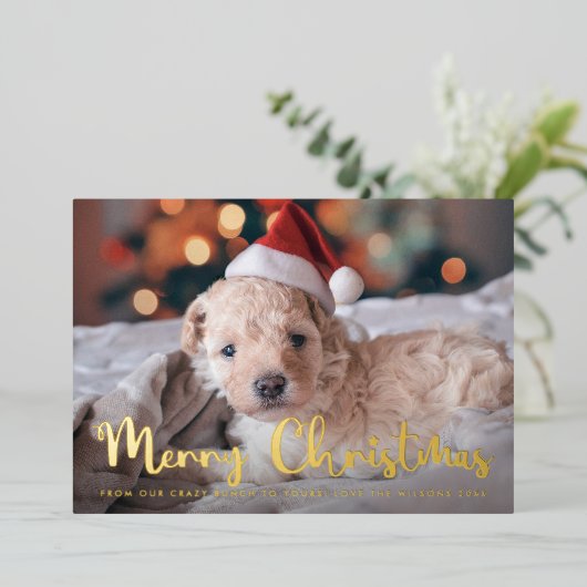 Carte De Vœux En Aluminium Joyeux Noël Pet Photo (Debout devant)