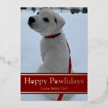Joyeux Pawlidays