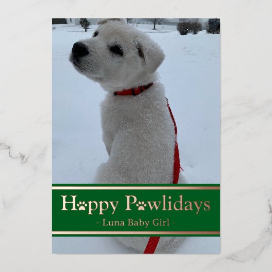 Carte De Vœux En Aluminium Joyeux Pawlidays (Recto)