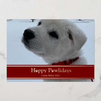Carte De Vœux En Aluminium Joyeux Pawlidays