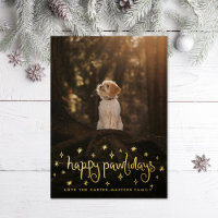 Joyeux Pawlidays Fun Stars Chien Photo