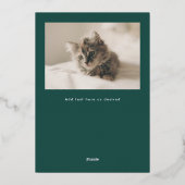 Carte De Vœux En Aluminium Joyeux Pawlidays Fun Stars Photo Chat (Verso)