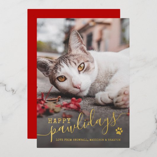 Carte De Vœux En Aluminium Joyeux Pawlidays Photo de Chat Animal Rouge Noël R (Recto/Verso)