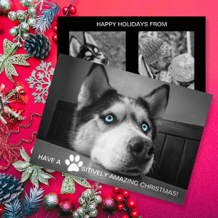 Carte De Vœux En Aluminium Noël absolument incroyable avec photo de chien per