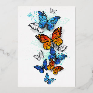 Carte De Vœux En Aluminium Papillons volants Morpho et Monarch