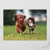 Carte De Vœux En Aluminium Paw-La-La-La-La-La-Fun Animaux de Noël (Recto)