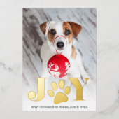 Carte De Vœux En Aluminium Paws | Photo pour animaux (Recto)