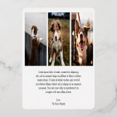 Carte De Vœux En Aluminium Photo Chien mignon Noël moderne (Verso)