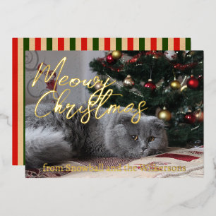 Carte De Vœux En Aluminium Photo de chat personnalisée de Noël Meowy