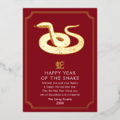 Carte De Vœux En Aluminium Serpent chinois du Nouvel An (Recto)