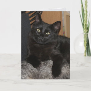 Carte de voeux en blanc de chat Ranger