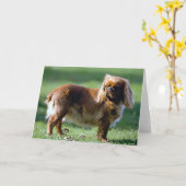 Carte de voeux en blanc de chien espagnol de jouet (Fleur jaune)