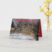 Carte de vœux en bois enneigé du Kansas (Fleur jaune)