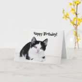 Carte de voeux en chaton blanc noir (Fleur jaune)