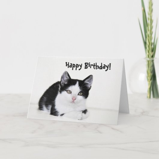 Carte de voeux en chaton blanc noir (Devant)