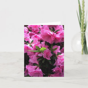 Carte de voeux en fleurs roses