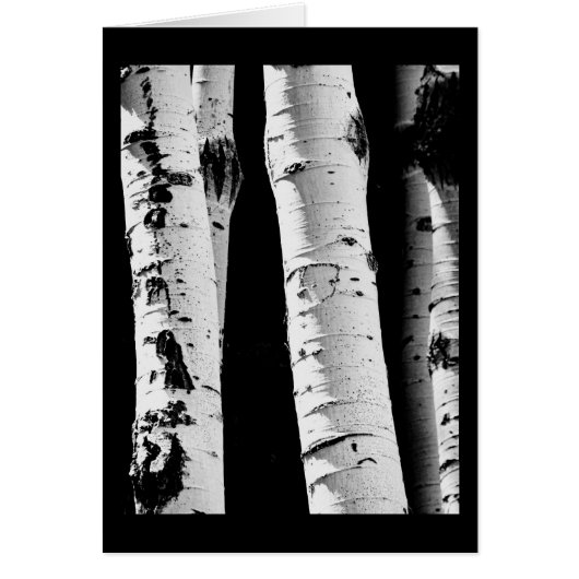 Carte de voeux en noir et blanc Aspen Arbres (Devant)