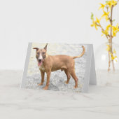 Carte de voeux English Bull Terrier (Fleur jaune)