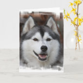 Carte de voeux enrouée de chien (Fleur jaune)