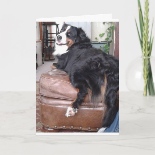 Carte de voeux, enveloppes blanches standard inclu (Devant)