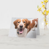 Carte de voeux espagnole Bretagne française (Fleur jaune)