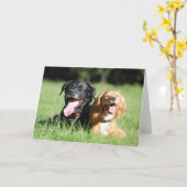 Carte de voeux espagnole Labrador et Cocker de tra (Fleur jaune)