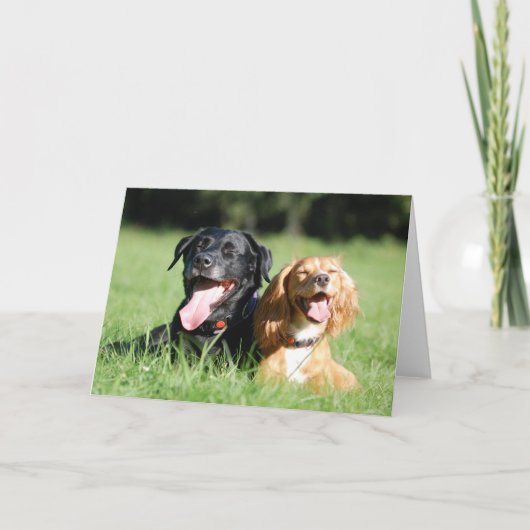 Carte de voeux espagnole Labrador et Cocker de tra (Devant)