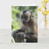 Carte de voeux espiègle de singe (Fleur jaune)