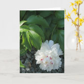 Carte de voeux et/ou de note blanc Peony Preciy (Fleur jaune)