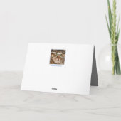 Carte de voeux - excuses (Dos)