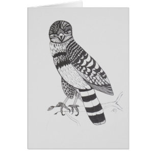 Carte de voeux Falcon
