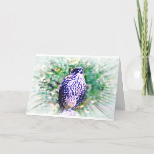 Carte de voeux Falcon