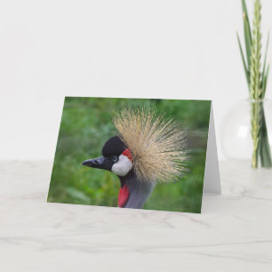 Carte de voeux faunique, vierge à l'intérieur.