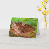 Carte de voeux Fawn (Fleur jaune)