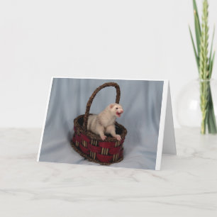 Carte de voeux Ferret