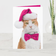 Carte de vœux festive - Chat branché