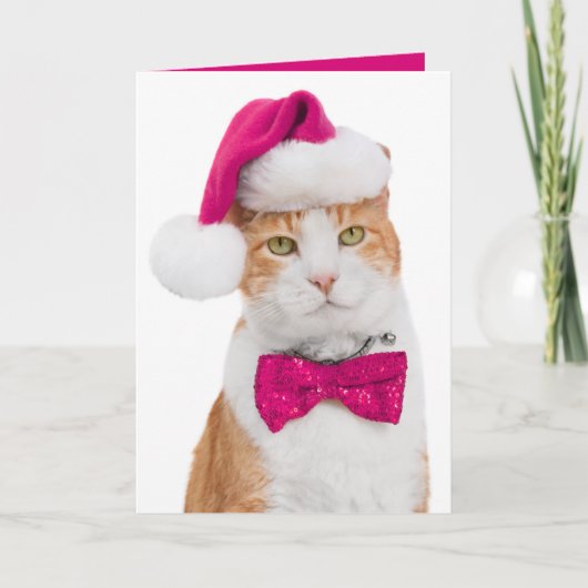Carte de vœux festive - Chaton branché (Devant)