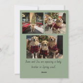 Carte de vœux festive : Plus on est de fous, plus  (Dos)