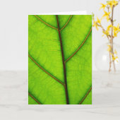 Carte de voeux Feuille verte (Fleur jaune)
