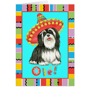 Carte de voeux Fiesta Havanese