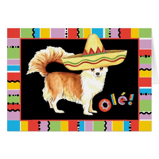Carte de voeux Fiesta Long Coat Chihuahua (Devant horizontal)