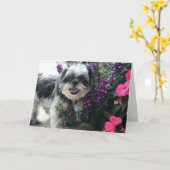 Carte de vœux Fille Shih Tzu (Fleur jaune)