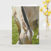 Carte de voeux fjord (Fleur jaune)