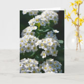 Carte de voeux flanquée (Fleur jaune)