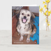 Carte de voeux Flash Jumping Jack (Fleur jaune)