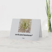 Carte de vœux fleur (Dos)