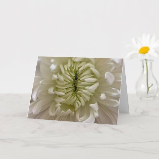 Carte de vœux fleur (Petite plante)