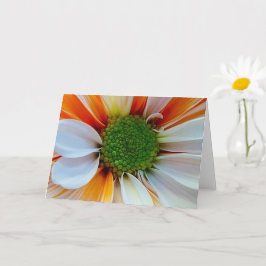 Carte de vœux fleur (Petite plante)